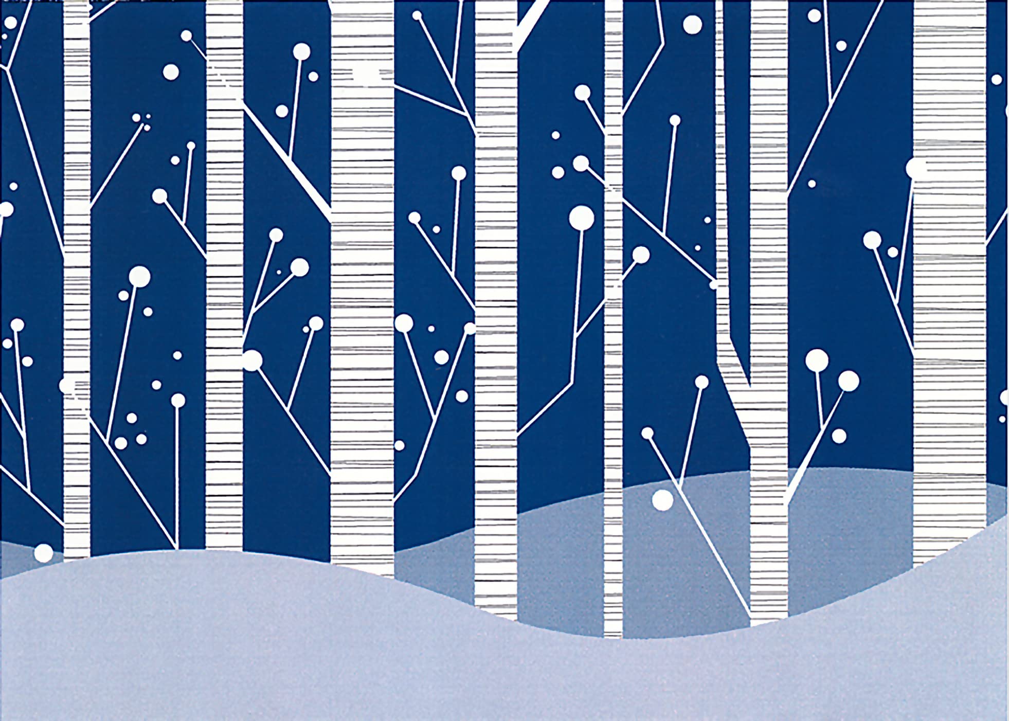 White Birches Holiday Boxed Cards (Christmas Cards, Holiday Cards, Greeting Cards) (Deluxe Boxed Holiday Cards),Used