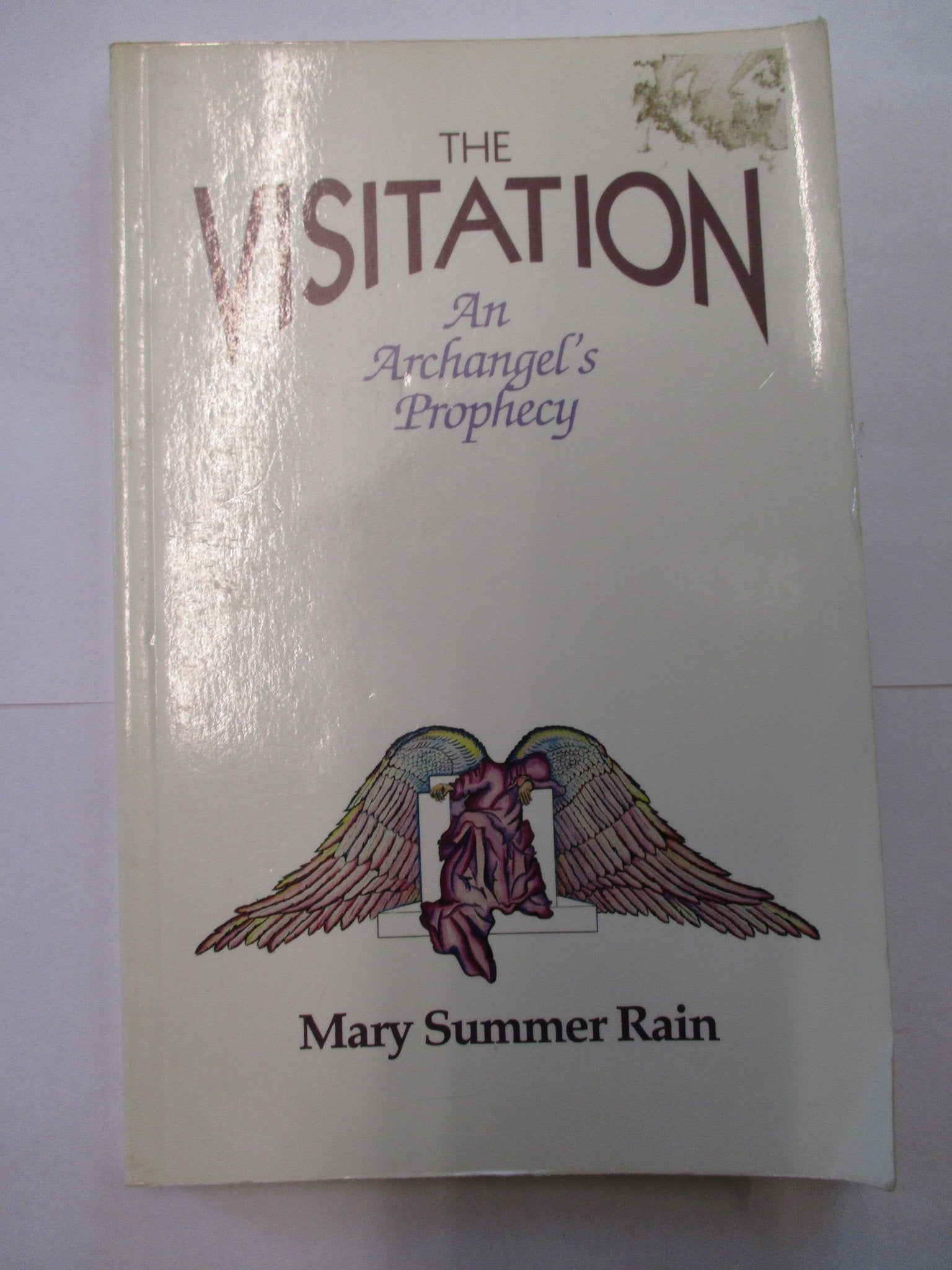 The Visitation: An Archangel's Prophecy,Used