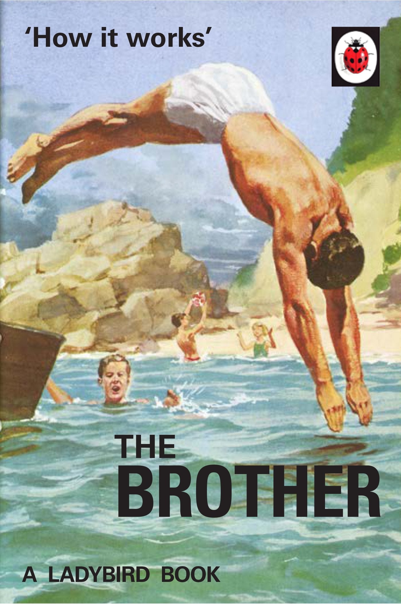 How it Works: The Brother (Ladybird for GrownUps),Used