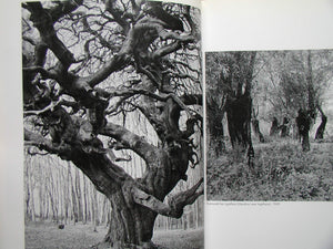 Aperture: Albert Rengerpatzsch,Used
