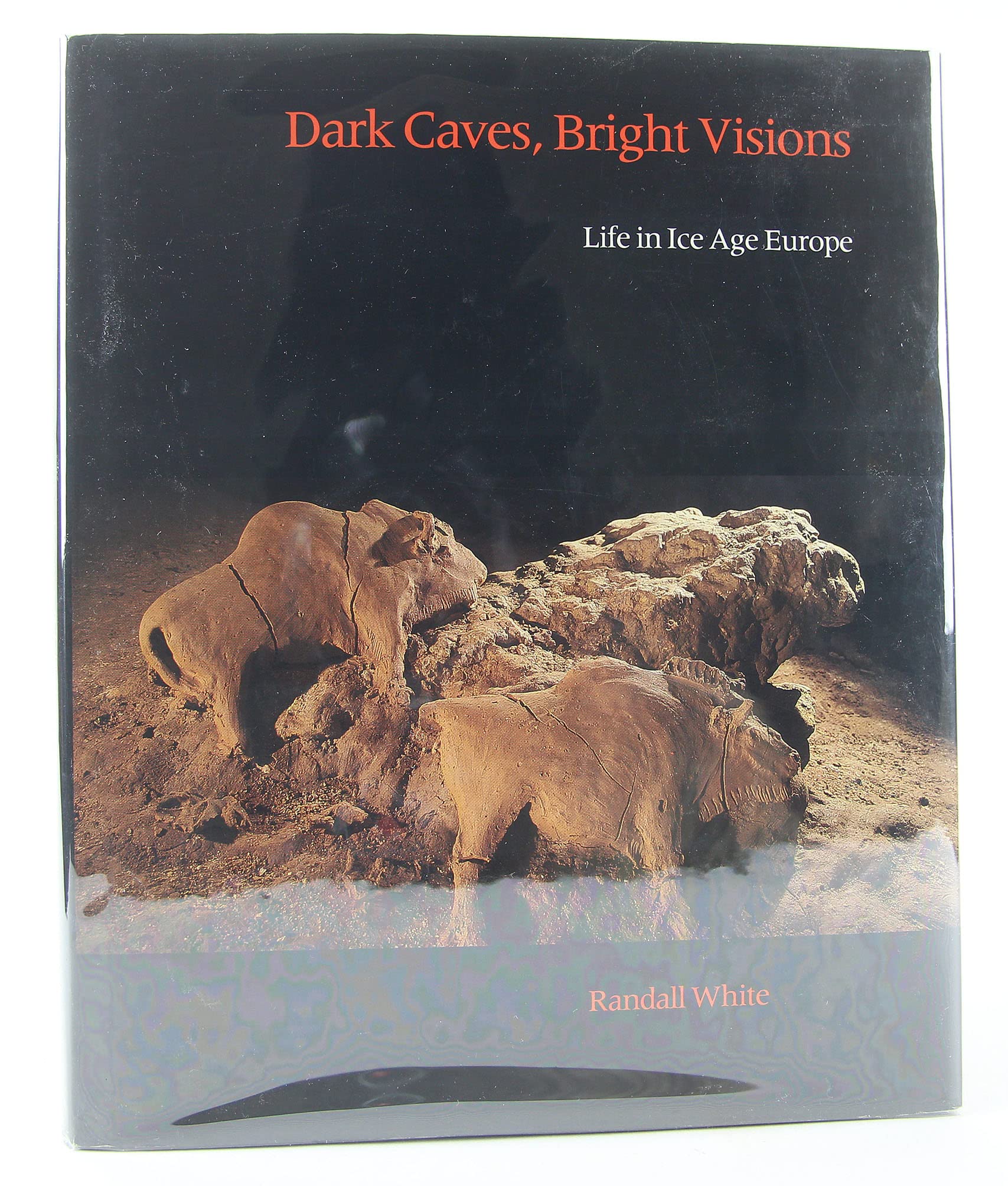 Dark Caves, Bright Visions: Life in Ice Age Europe,Used