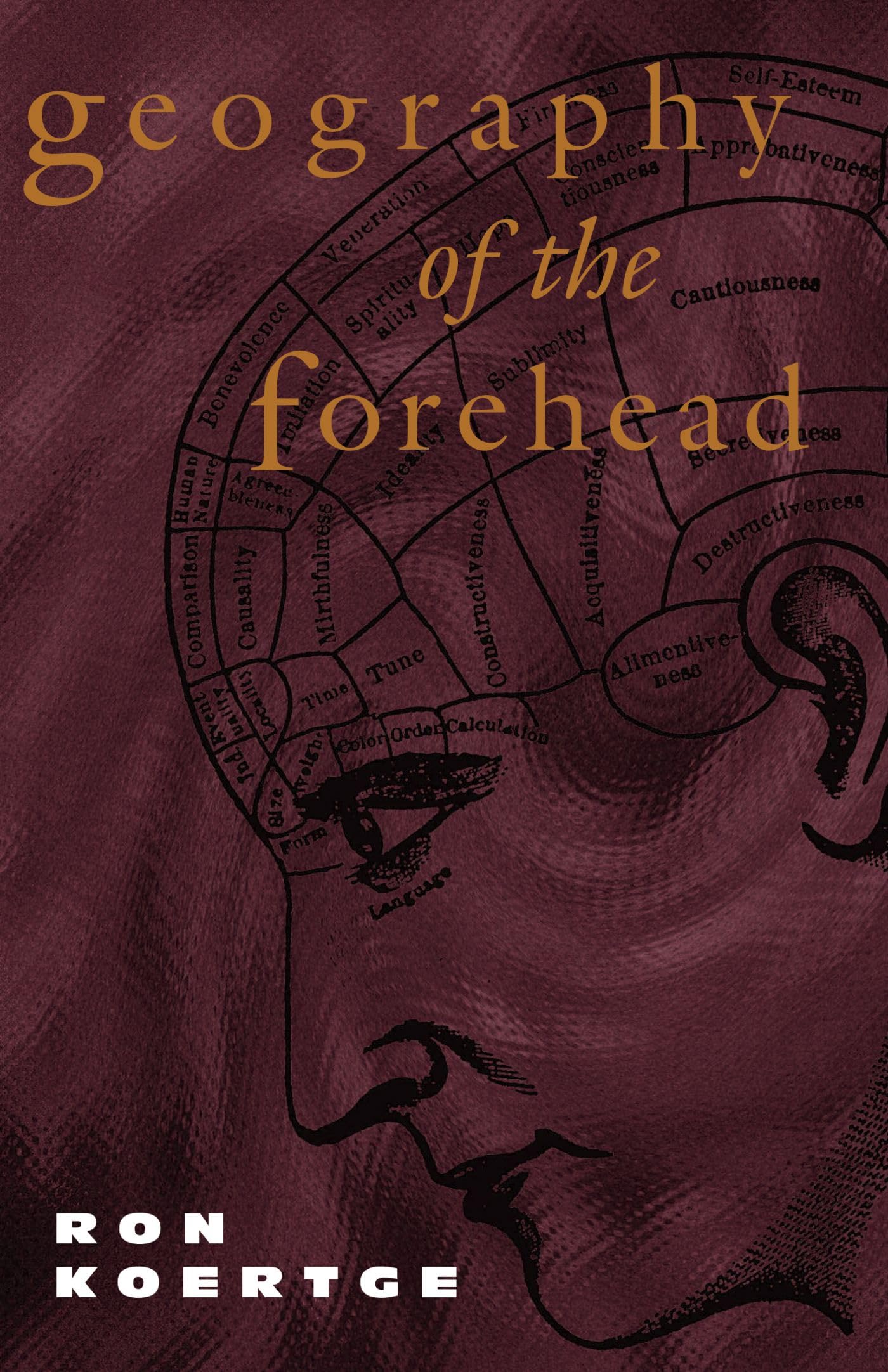 Geography Of The Forehead,Used