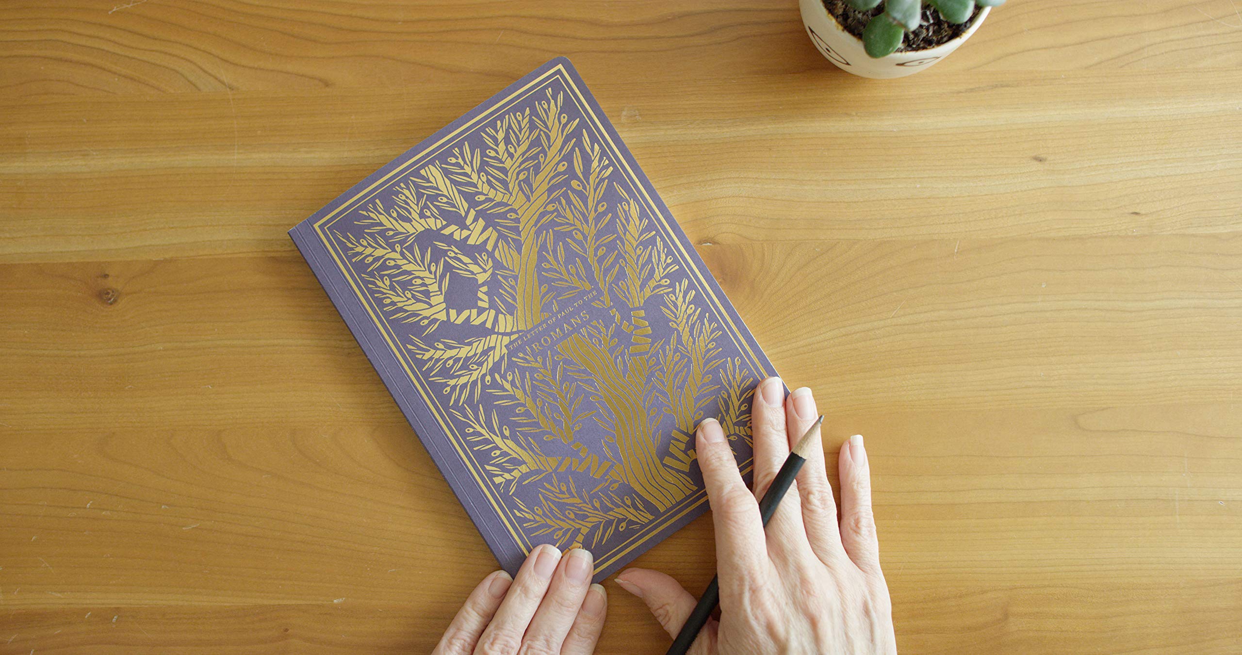 ESV Illuminated Scripture Journal: New Testament Set,Used
