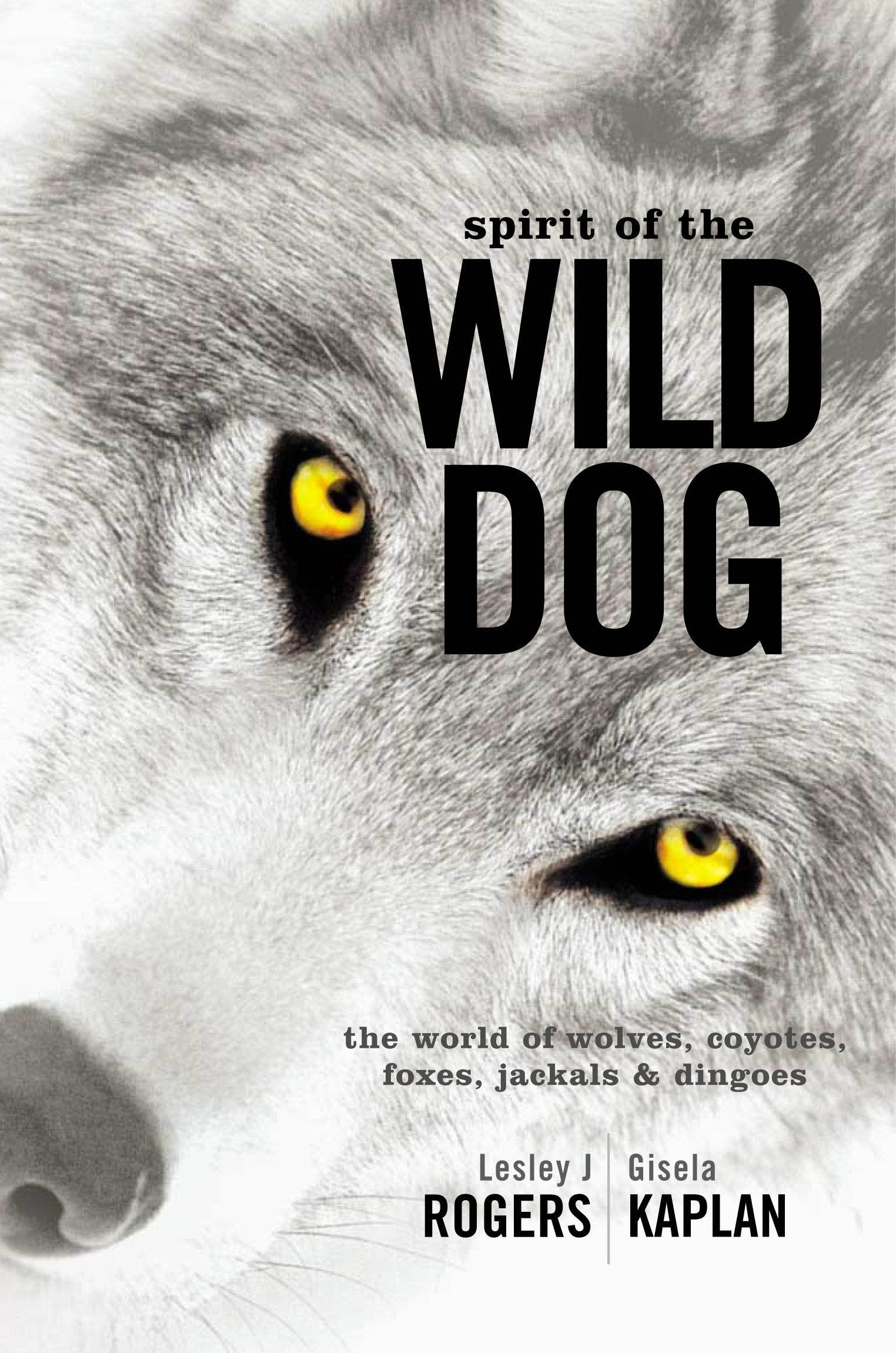 Spirit of the Wild Dog: The World of Wolves, Coyotes, Foxes, Jackals and Dingoes,New