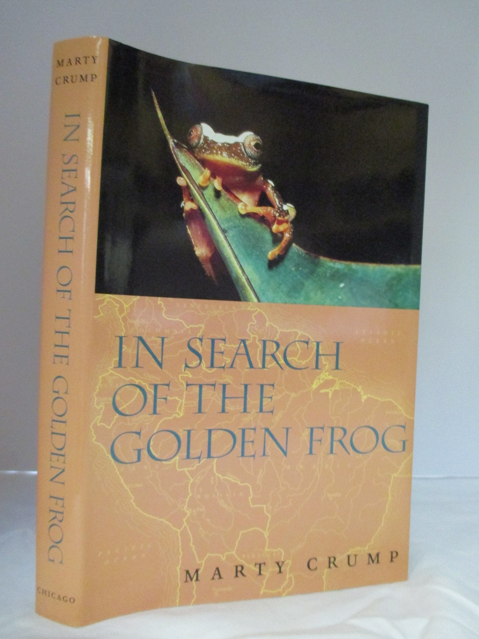 In Search Of The Golden Frog