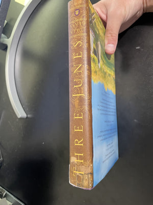 Three Junes: A novel,Used