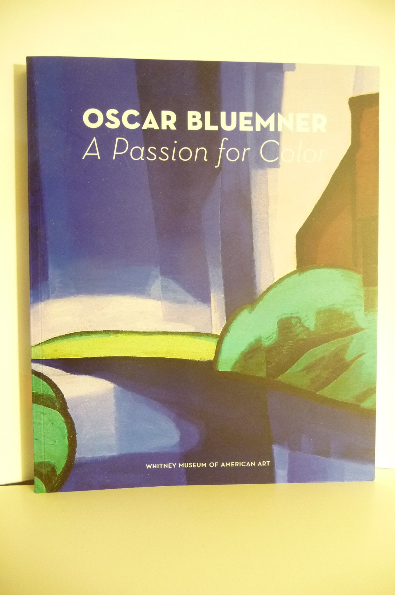 Oscar Bluemner : A Passion for Color,Used
