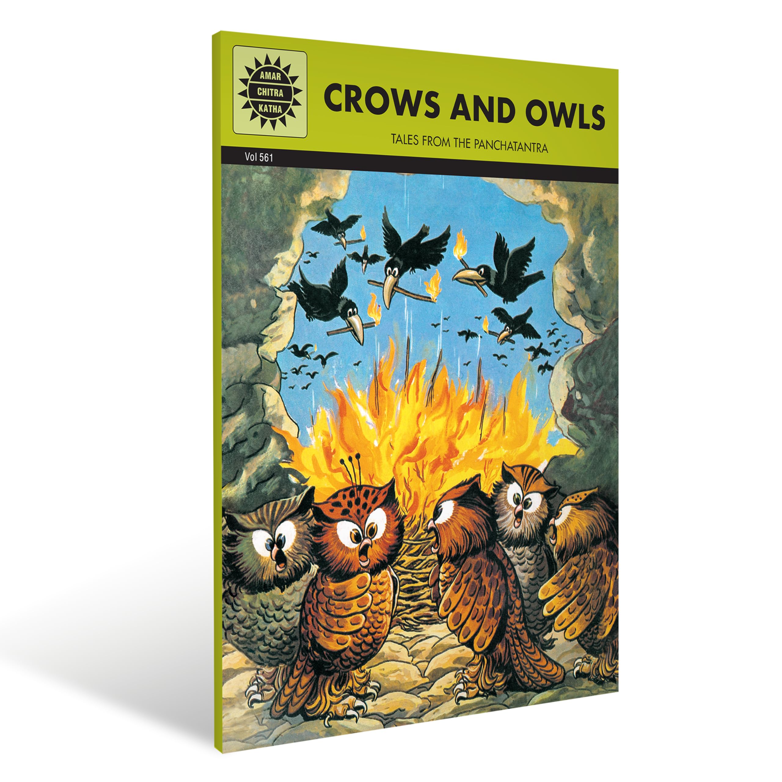 Crows And Owls