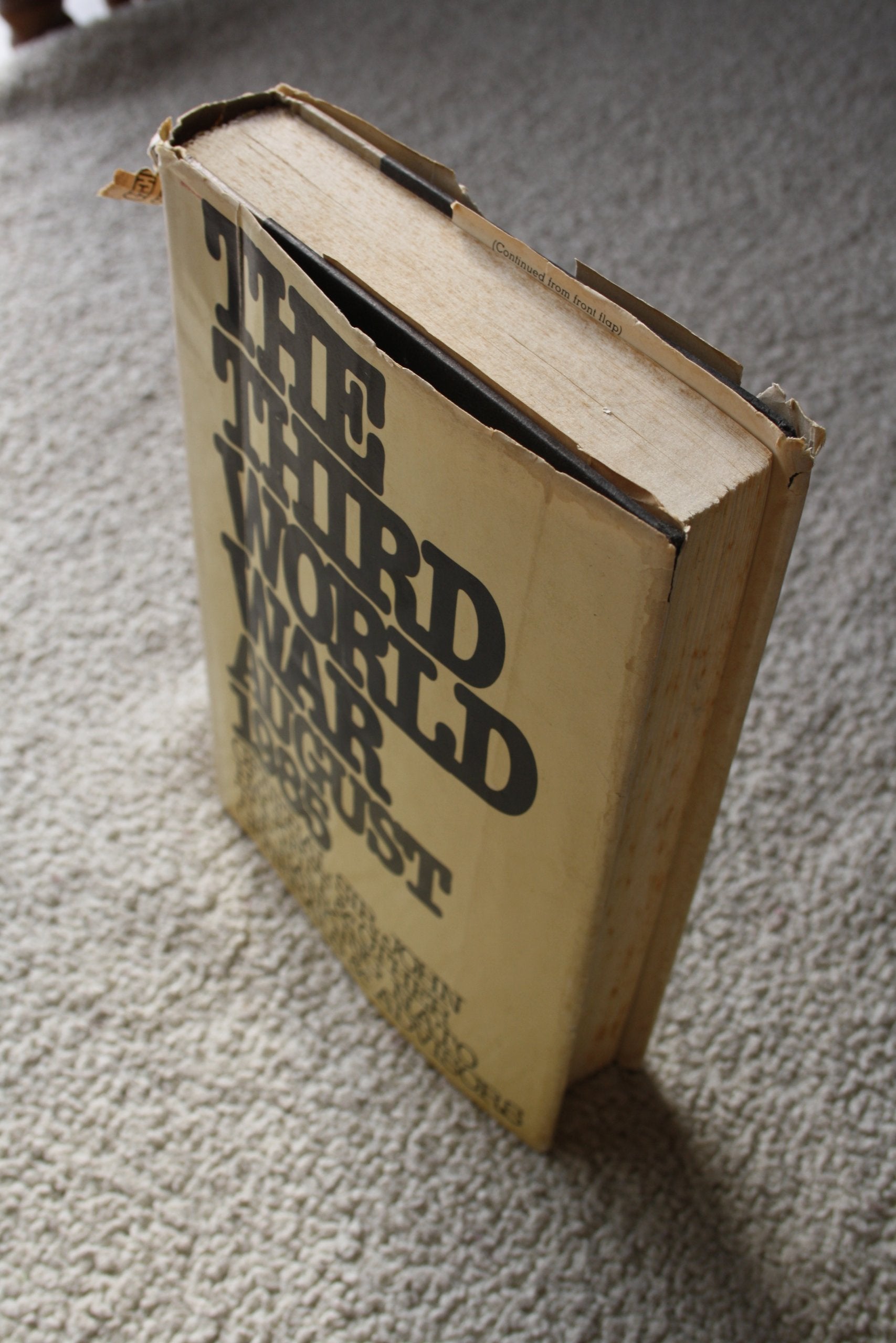 The Third World War