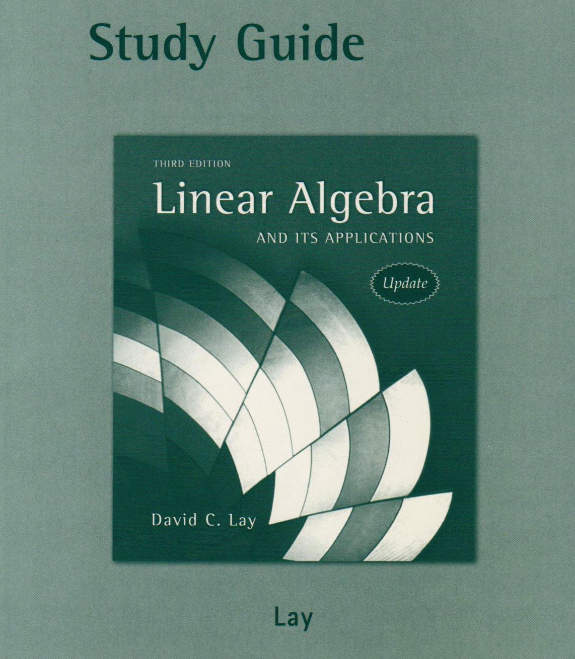 Study Guide To Linear Algebra And Its Applications, 3Rd Edition,New