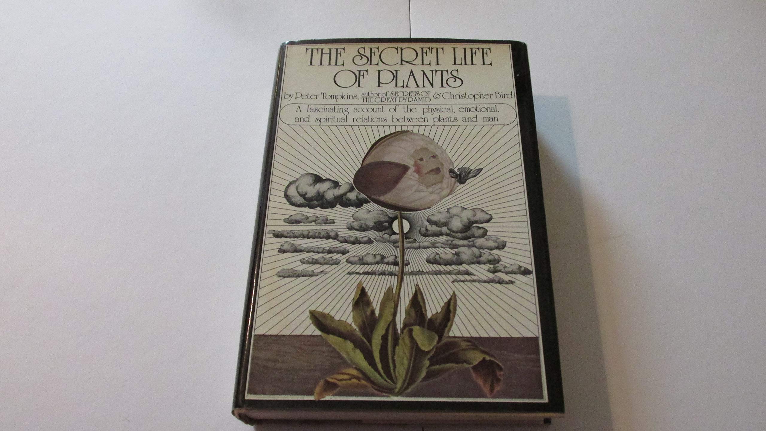 The Secret Life Of Plants