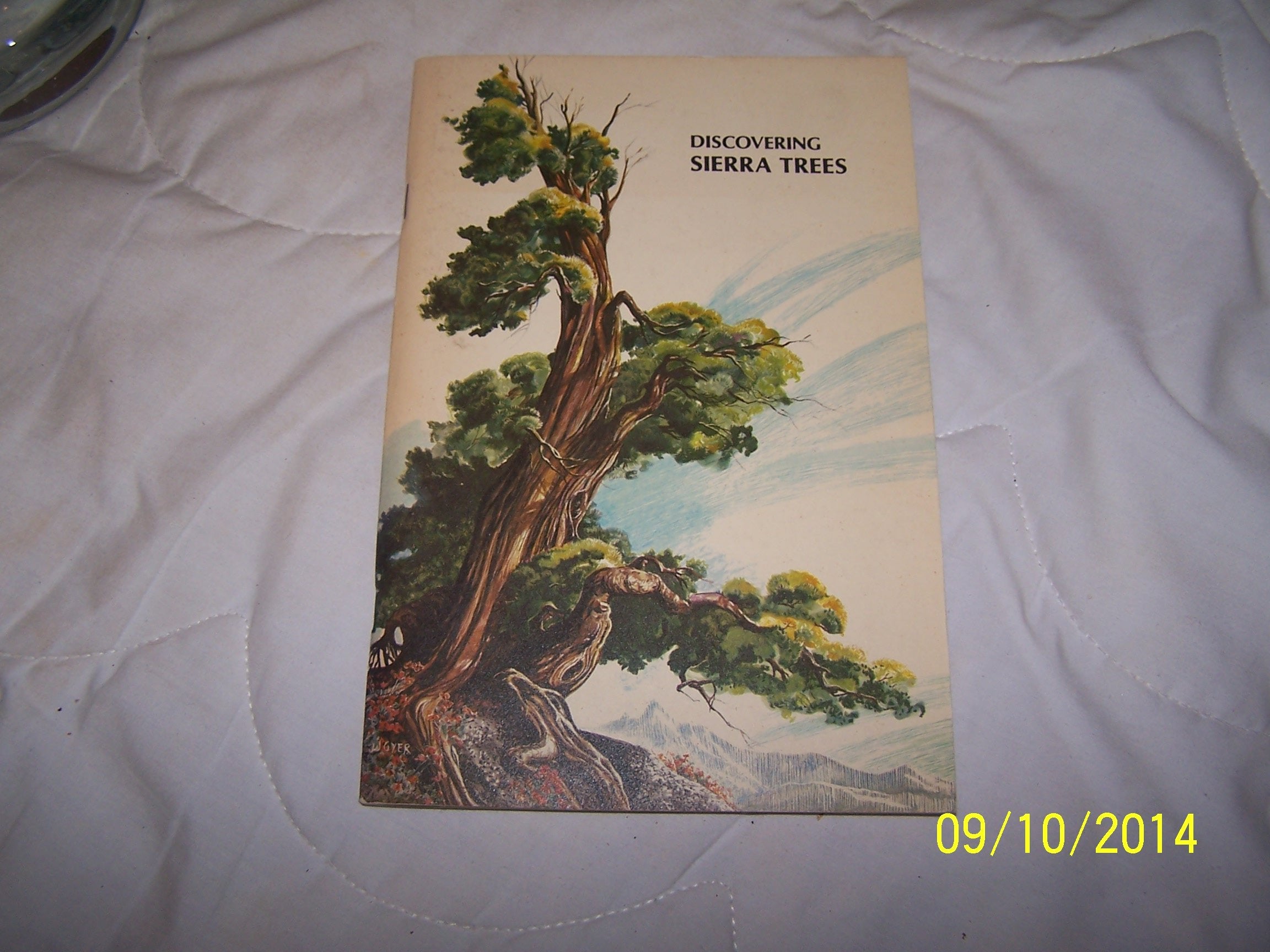 Discovering Sierra Trees,Used