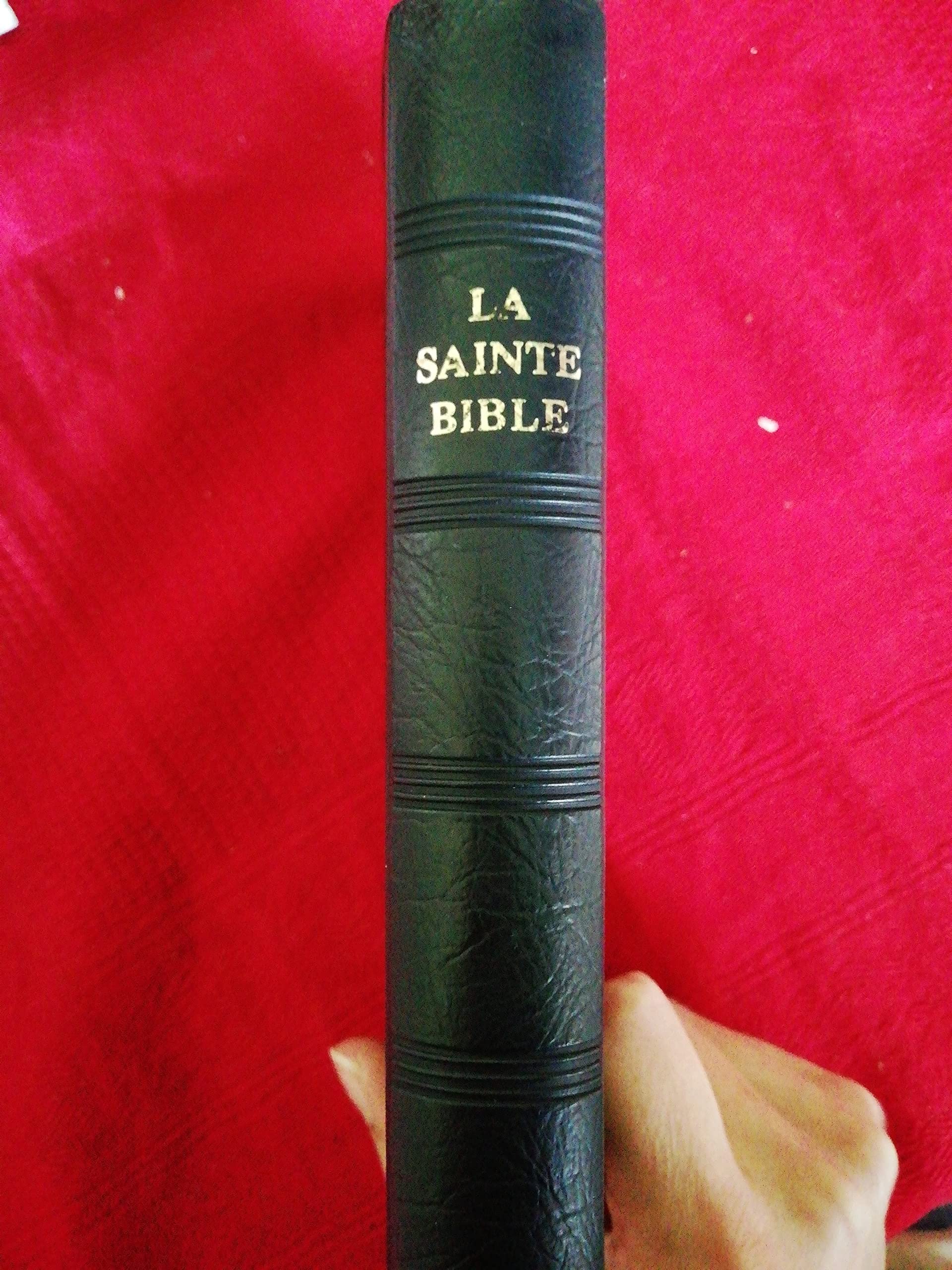 La Sainte Bible (French Edition)-new