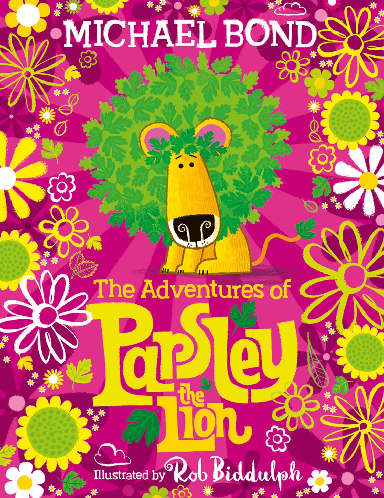 The Adventures Of Parsley The Lion,Used