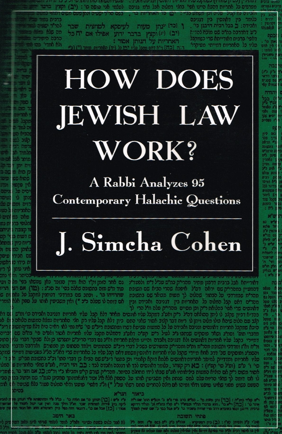 How Does Jewish Law Work?: A Rabbi Analyzes 95 Contemporary Halachic Questions,Used
