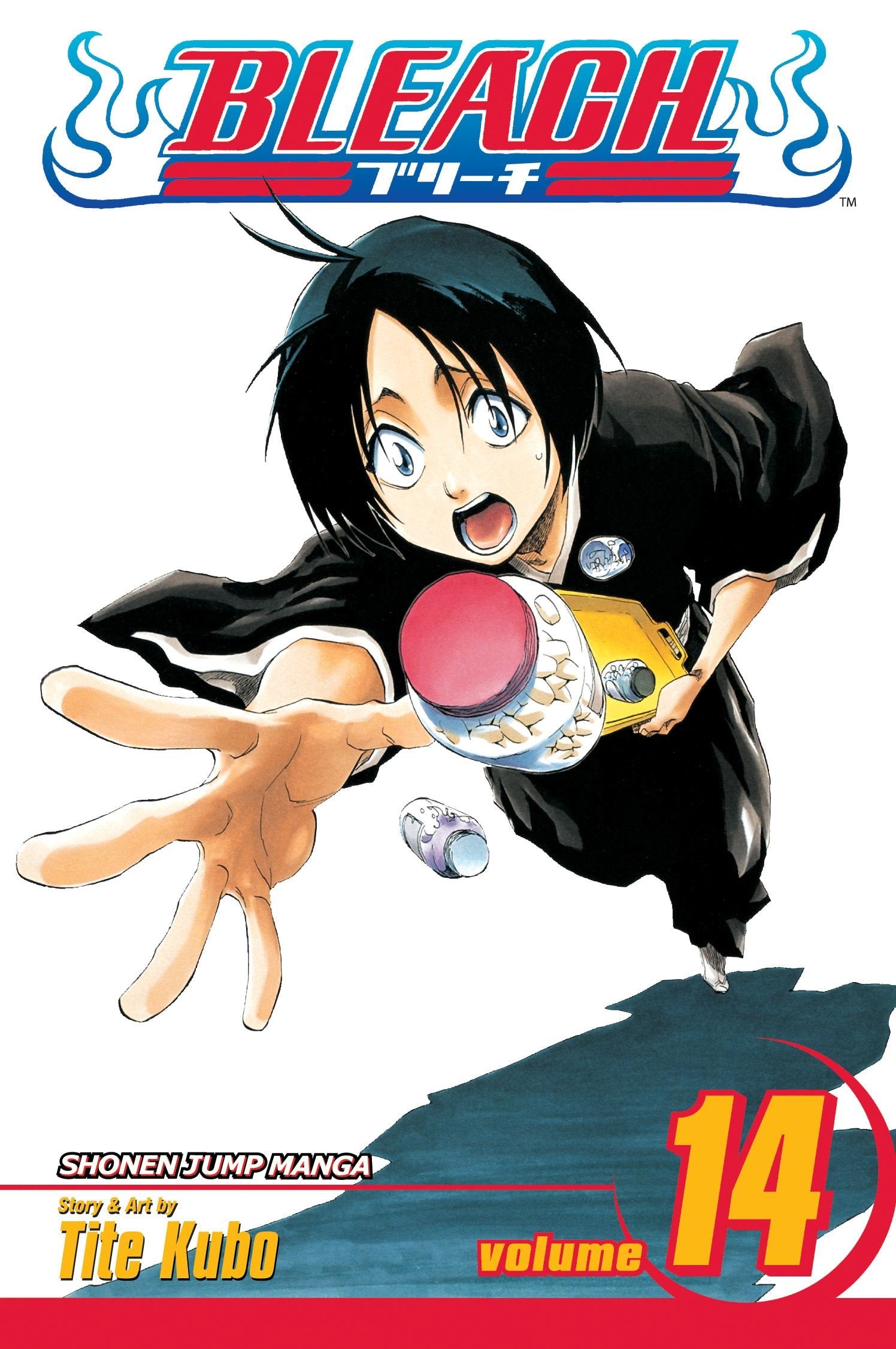 Bleach, Vol. 14,New