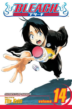 Bleach, Vol. 14,New