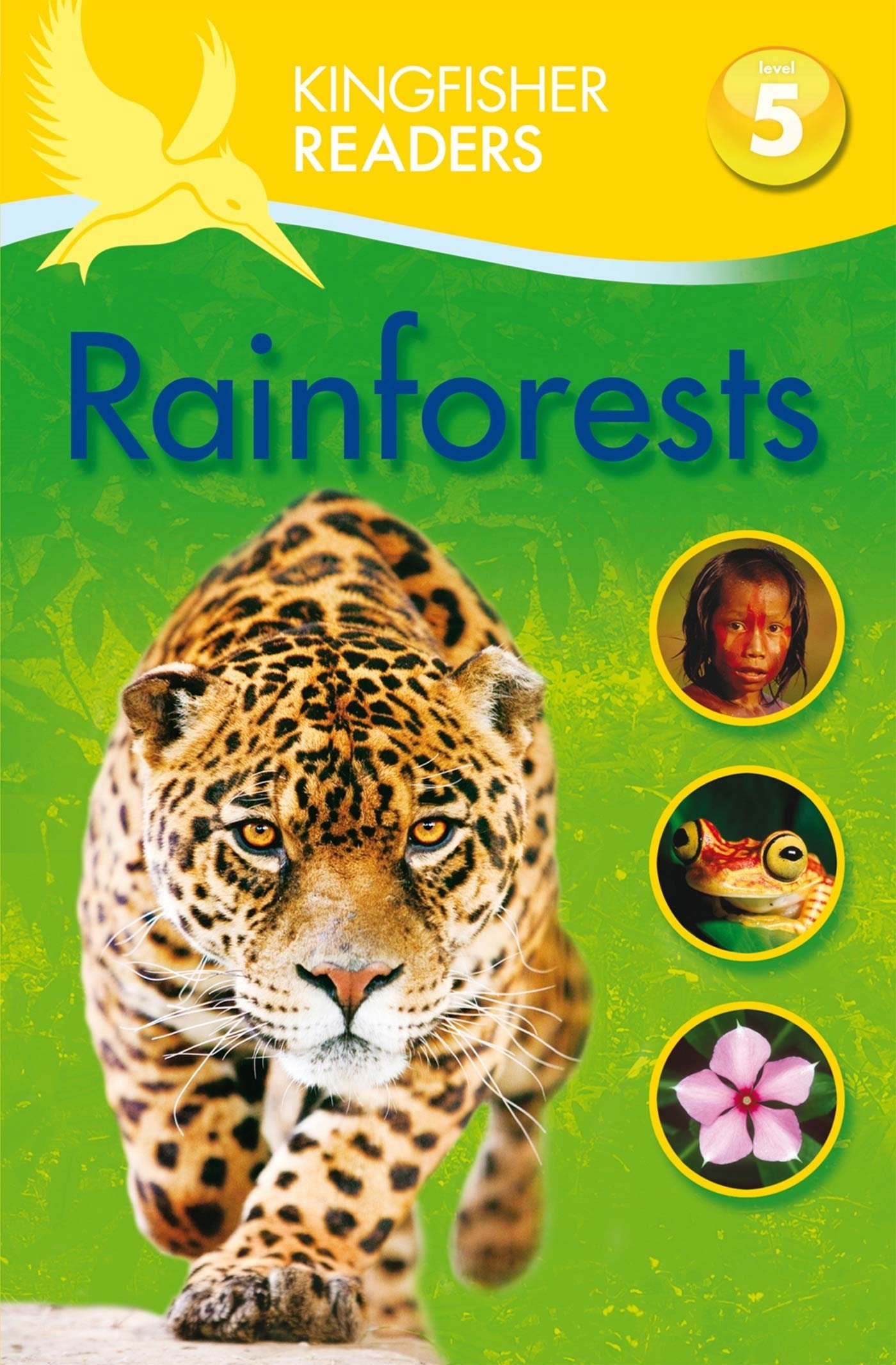 Rainforests,Used