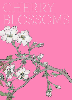 Cherry Blossoms,New
