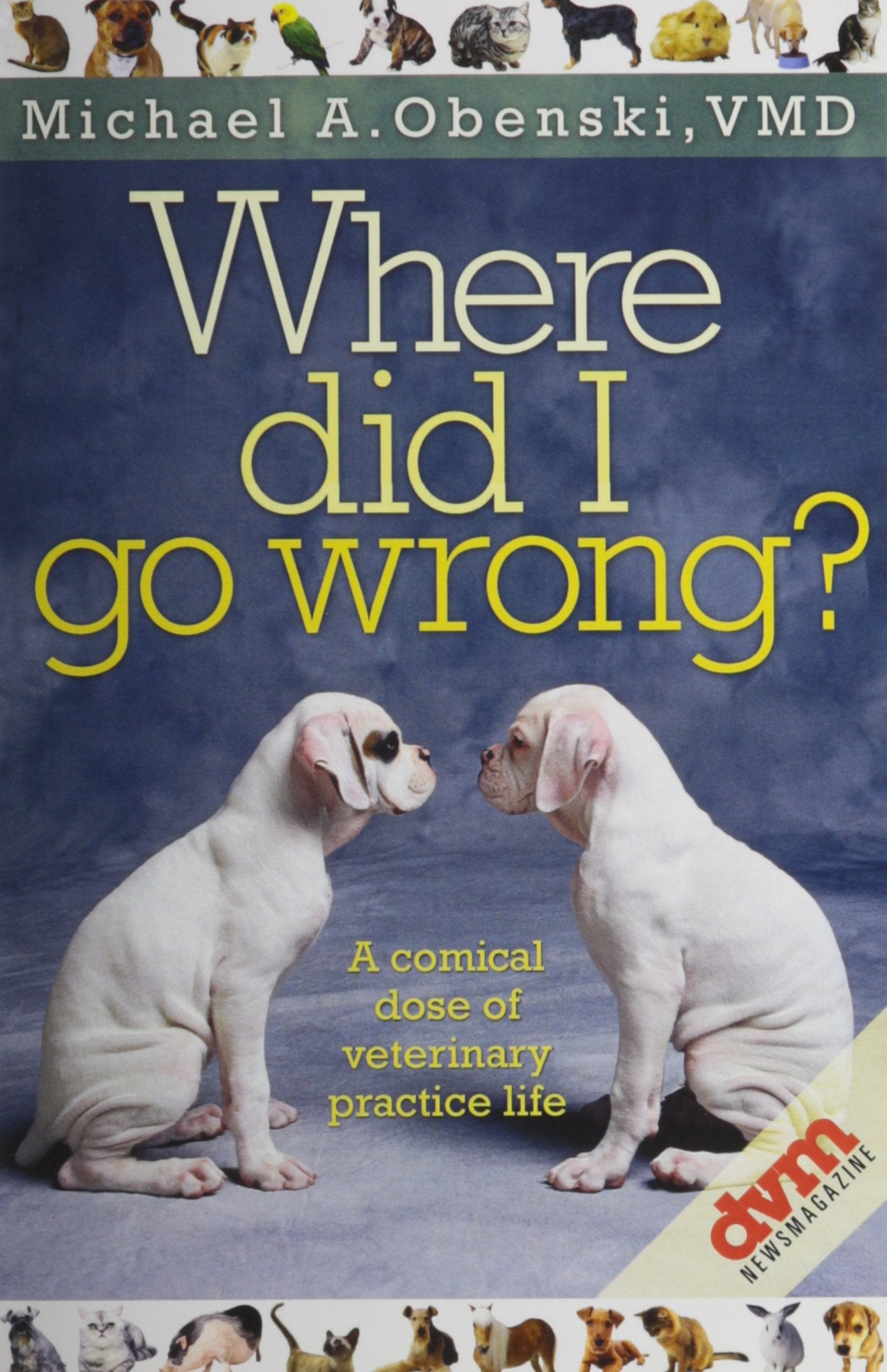 Where Did I Go Wrong?,Used