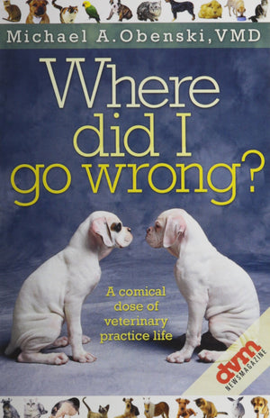 Where Did I Go Wrong?,Used