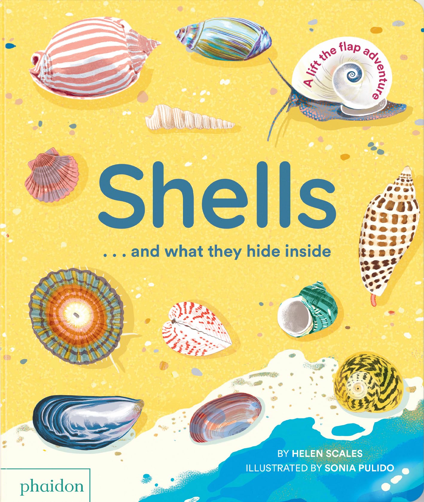 Shells... and what they hide inside: A LifttheFlap Adventure,New