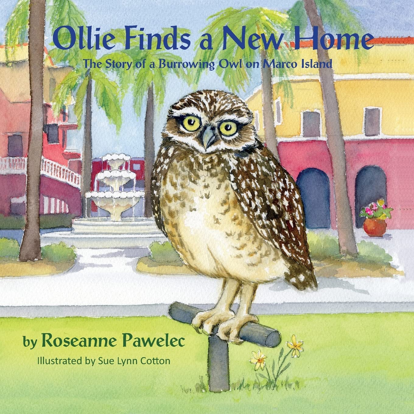 Ollie Finds a New Home, The Story of a Burrowing Owl on Marco Island,Used