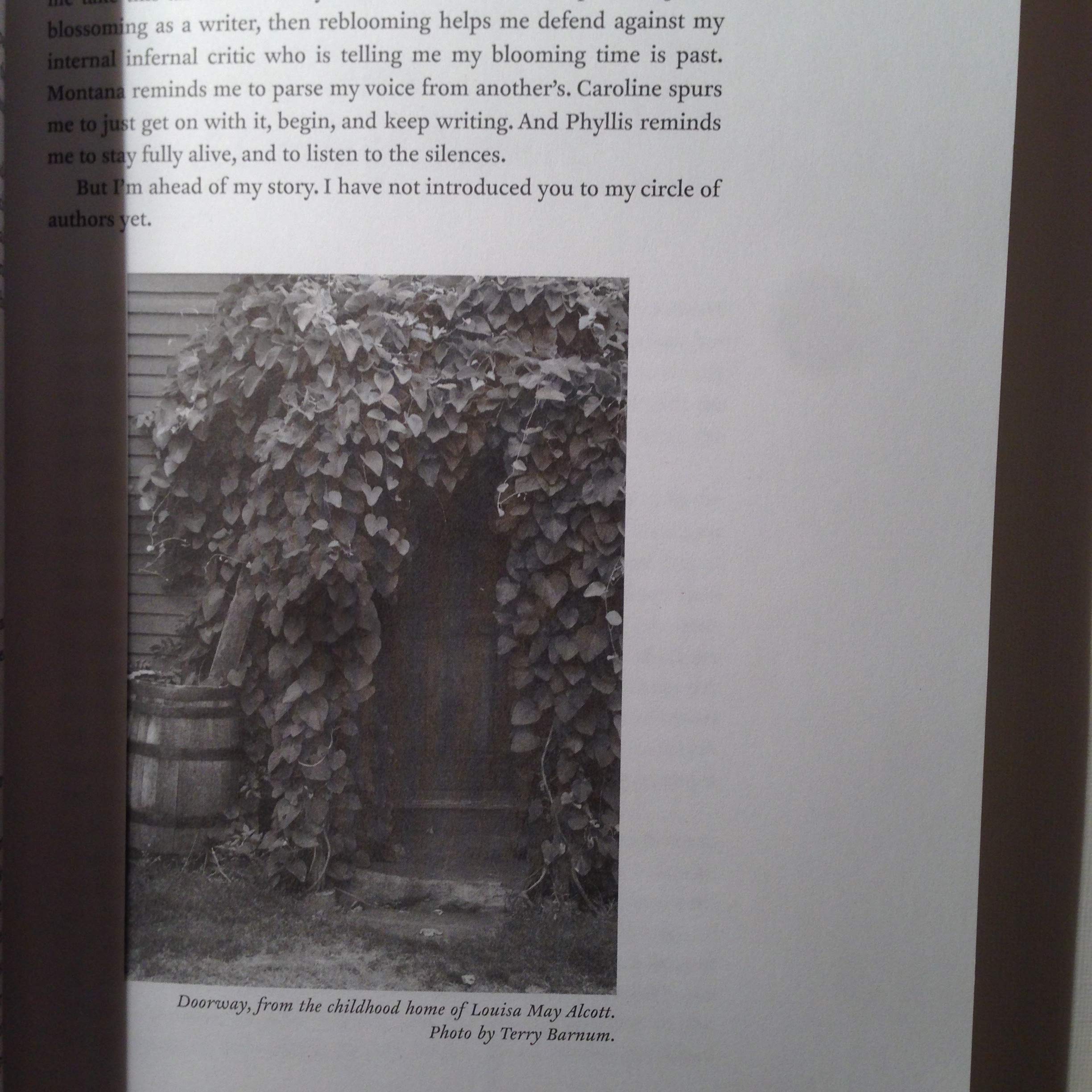 I Gotta Crow: Women, Voice, and Writing,Used