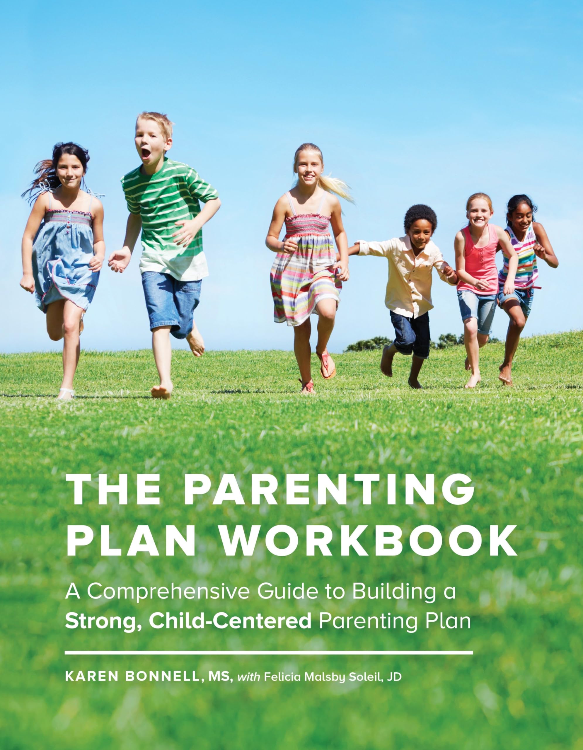 The Parenting Plan Workbook: A Comprehensive Guide To Building A Strong, Childcentered Parenting Plan,Used