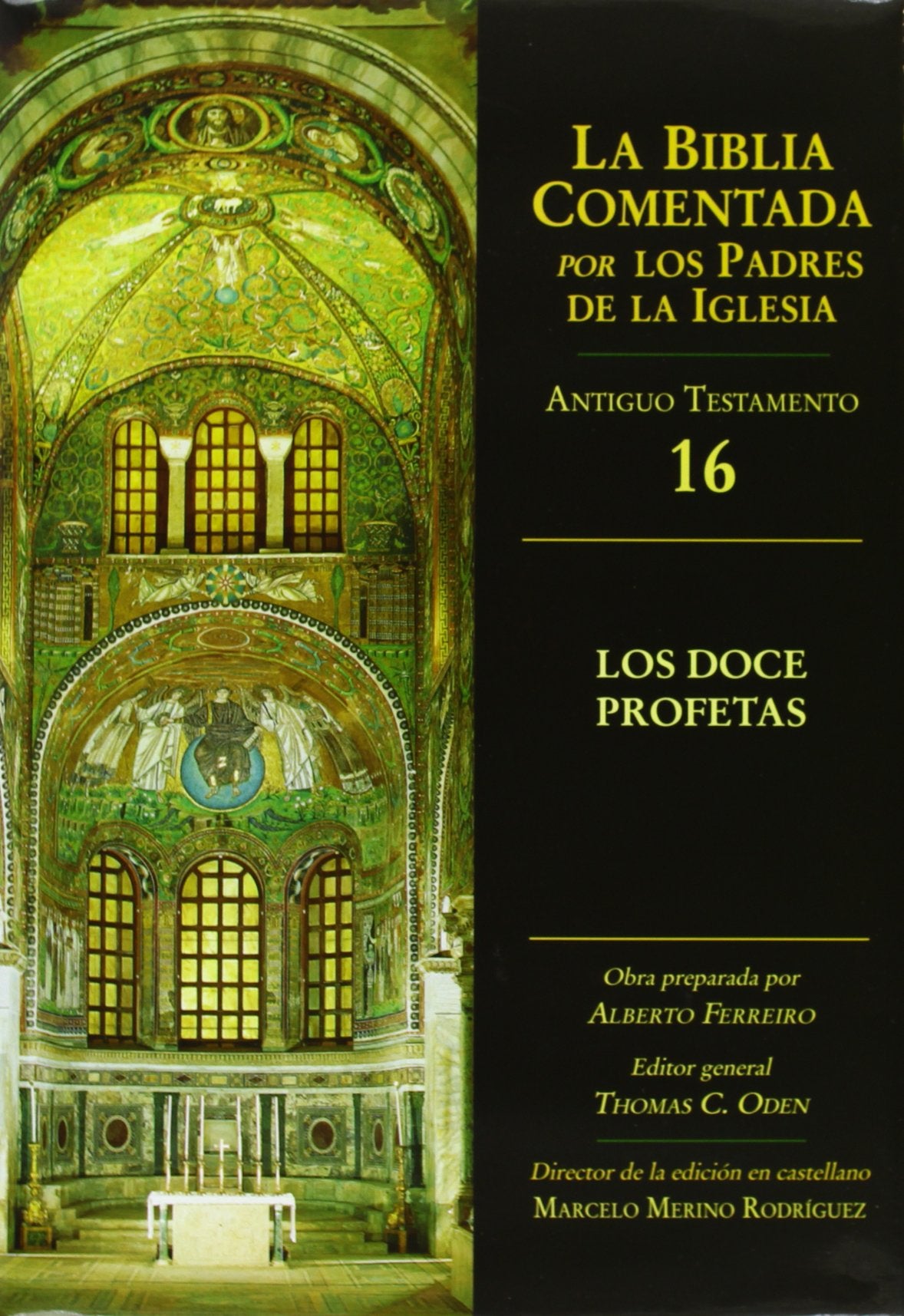 Los doce profetas (Spanish Edition),Used