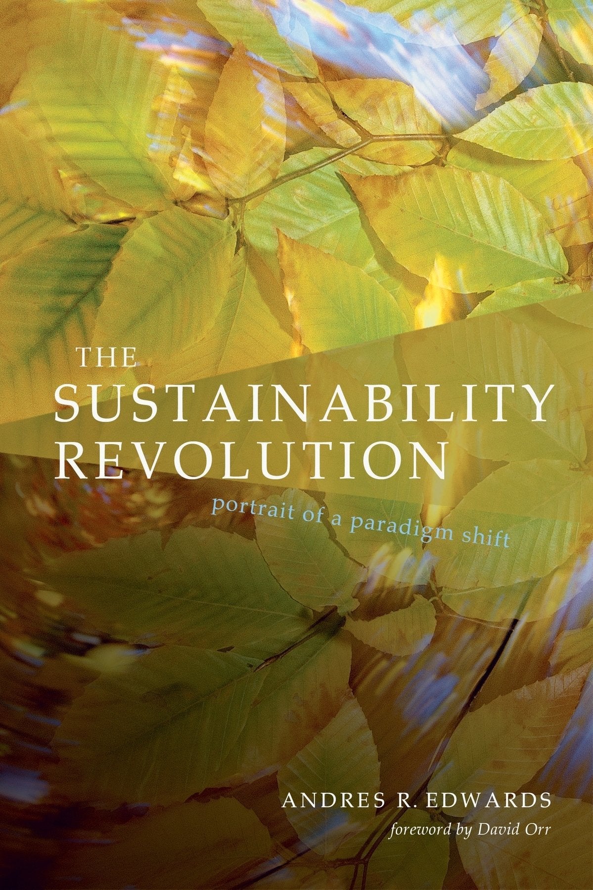 The Sustainability Revolution: Portrait Of A Paradigm Shift,New