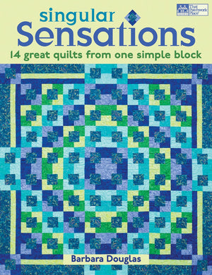Singular Sensations: 14 Great Quilts from One Simple Block,Used