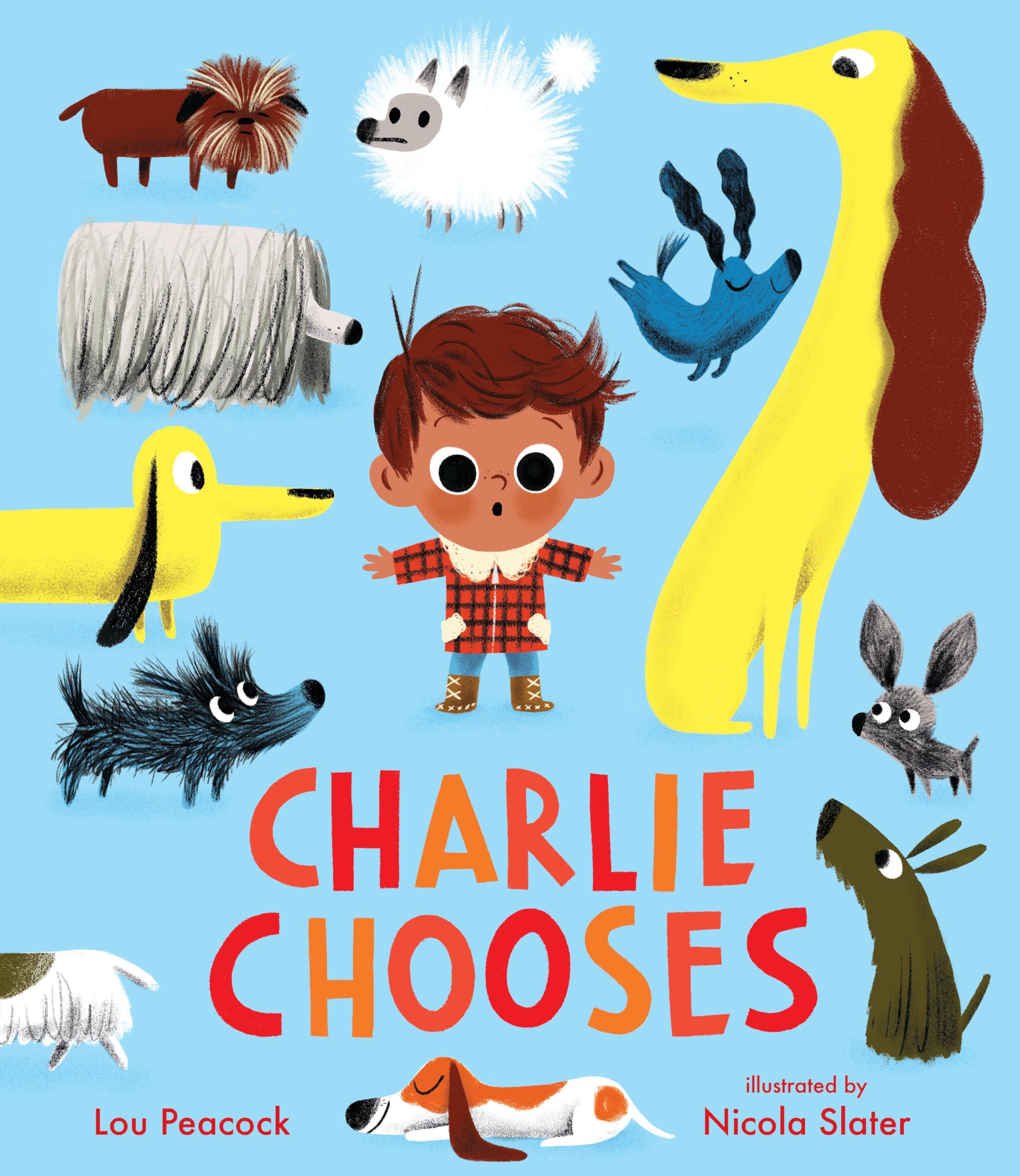 Charlie Chooses,Used