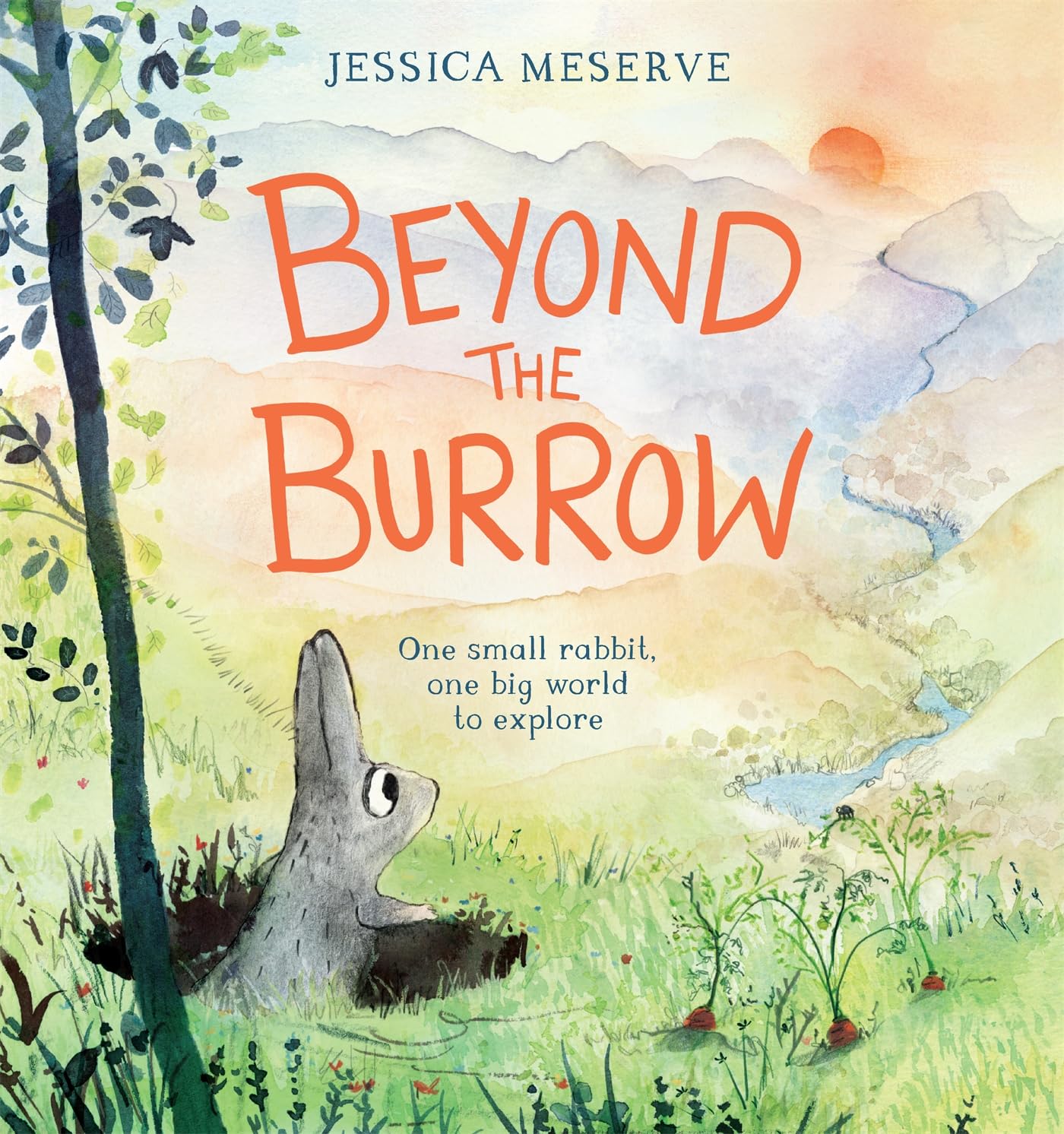 Beyond the Burrow,Used