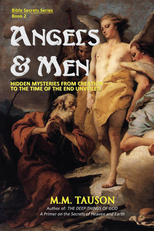 Angels & Men: Hidden Mysteries from Creation to the Time of the End Unveiled (Bible Secrets Series),Used