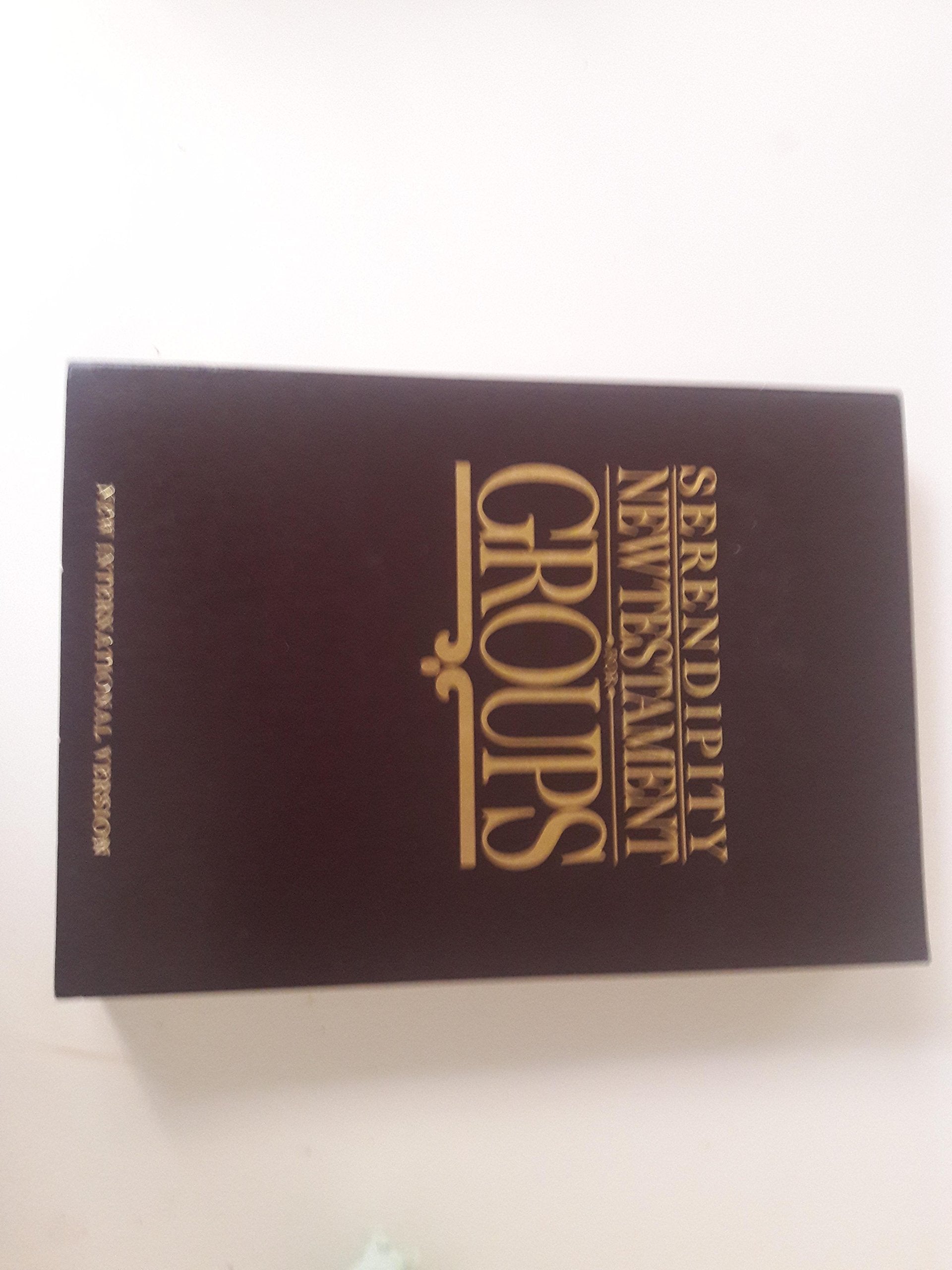 Serendipity New Testament for Groups: New International Version,Used