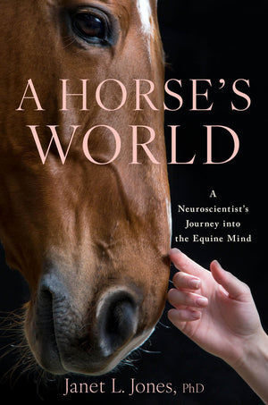 A HorseS World: A NeuroscientistS Journey Into The Equine Mind