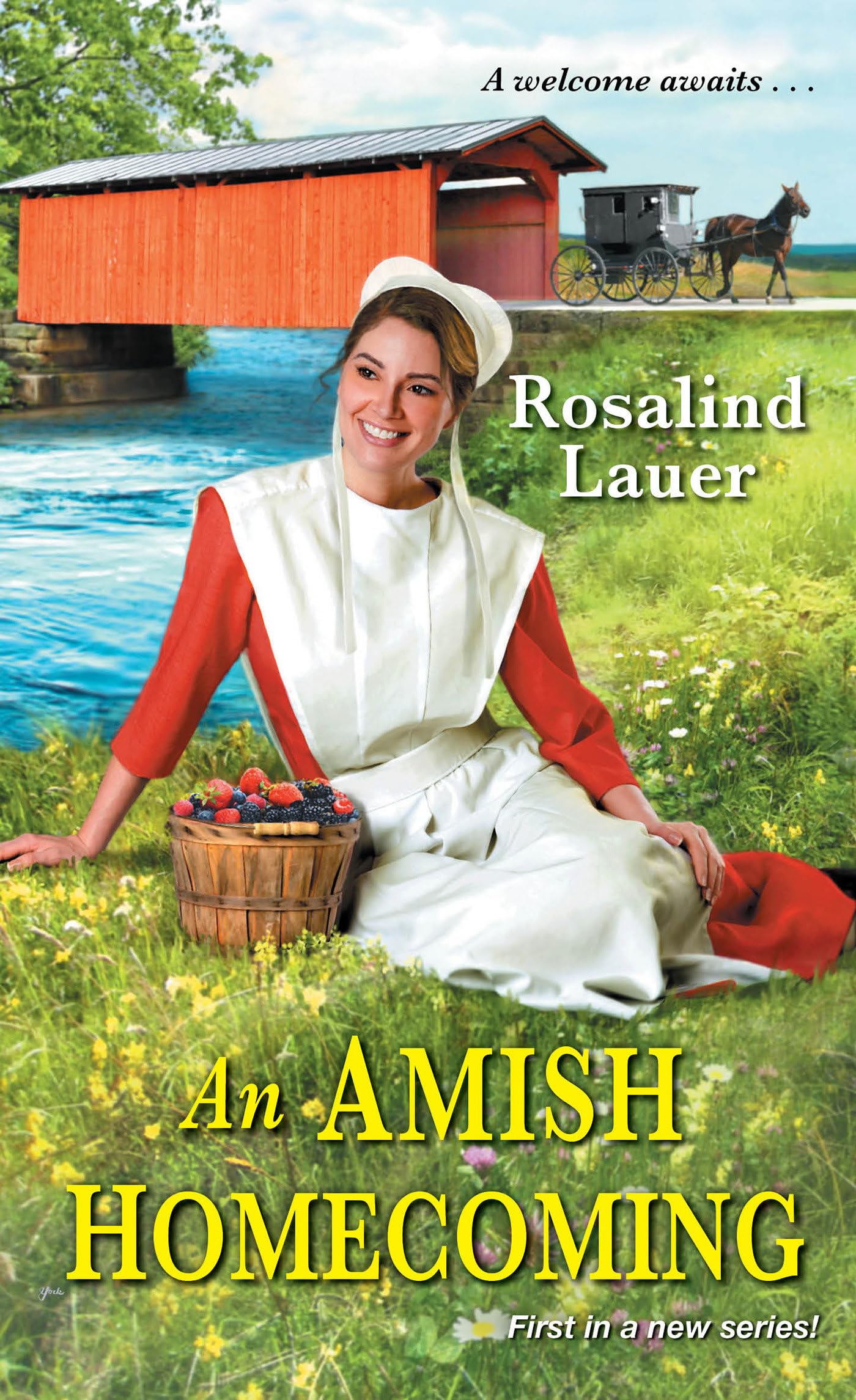 An Amish Homecoming (Joyful River),Used