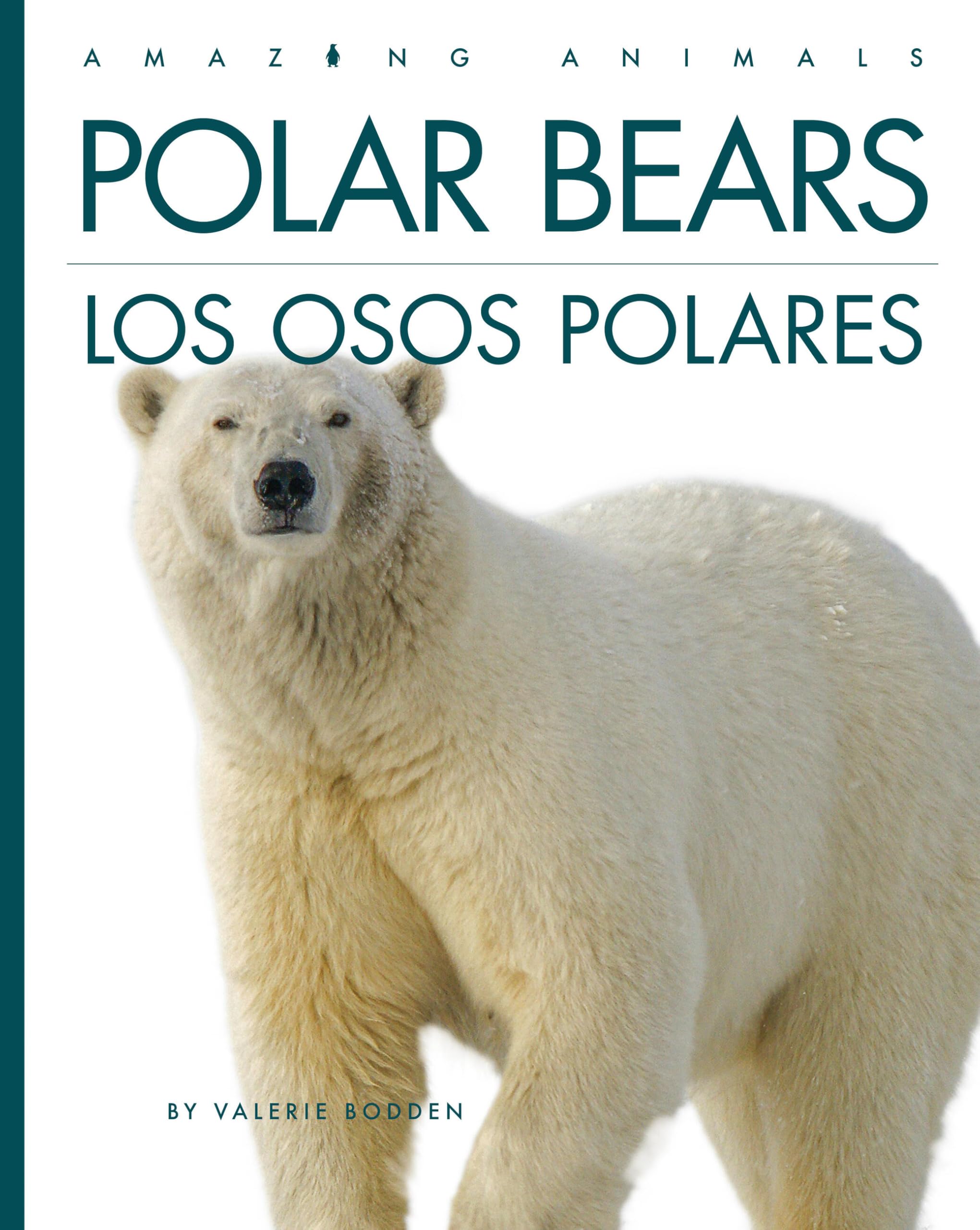 Polar Bears / Los Osos Polares (Spanish Edition)