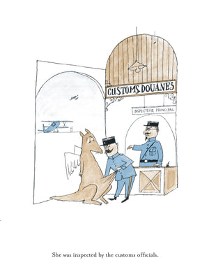 Adelaide: The Flying Kangaroo,Used