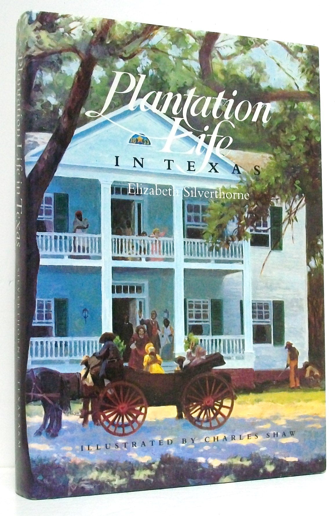 Plantation Life in Texas (Clayton Wheat Williams Texas Life Series),Used