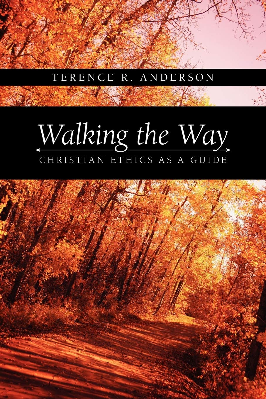Walking the Way: Christian Ethics as a Guide,Used