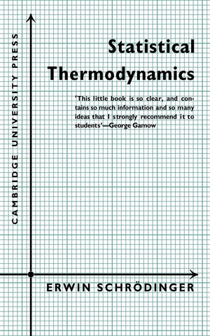 Statistical Thermodynamics: A Course of Seminar Lectures,Used