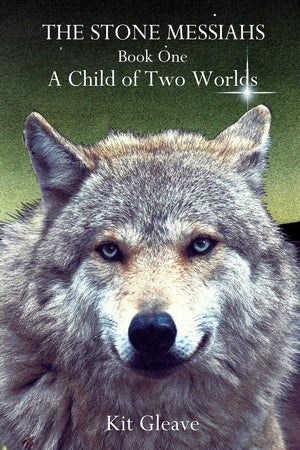 The Stone Messiahs  Book One  A Child of Two Worlds,Used