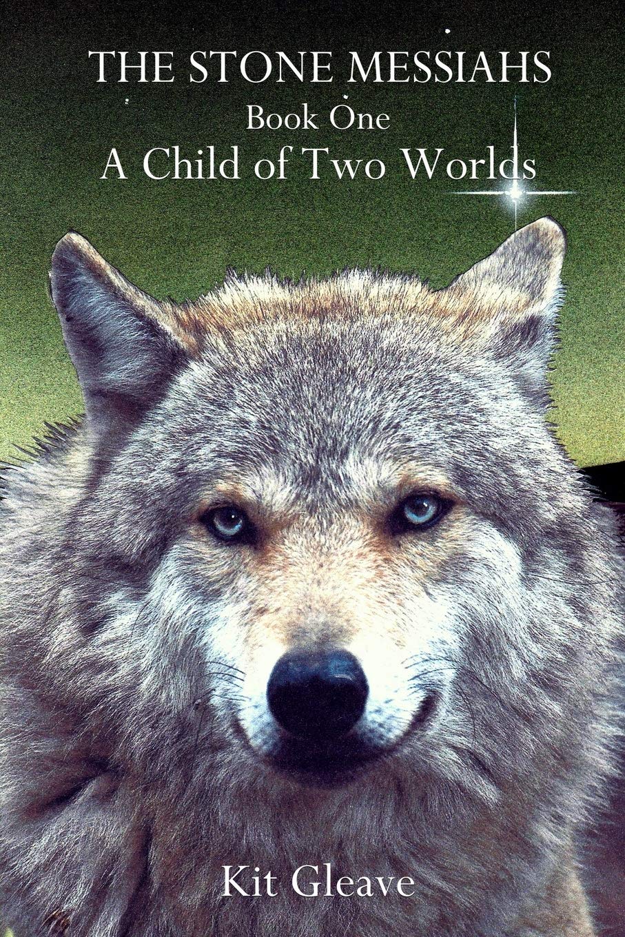 The Stone Messiahs  Book One  A Child of Two Worlds,Used