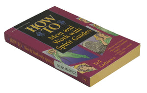 How to Meet & Work With Spirit Guides (Llewellyn's Practical Guide to Personal Power),Used