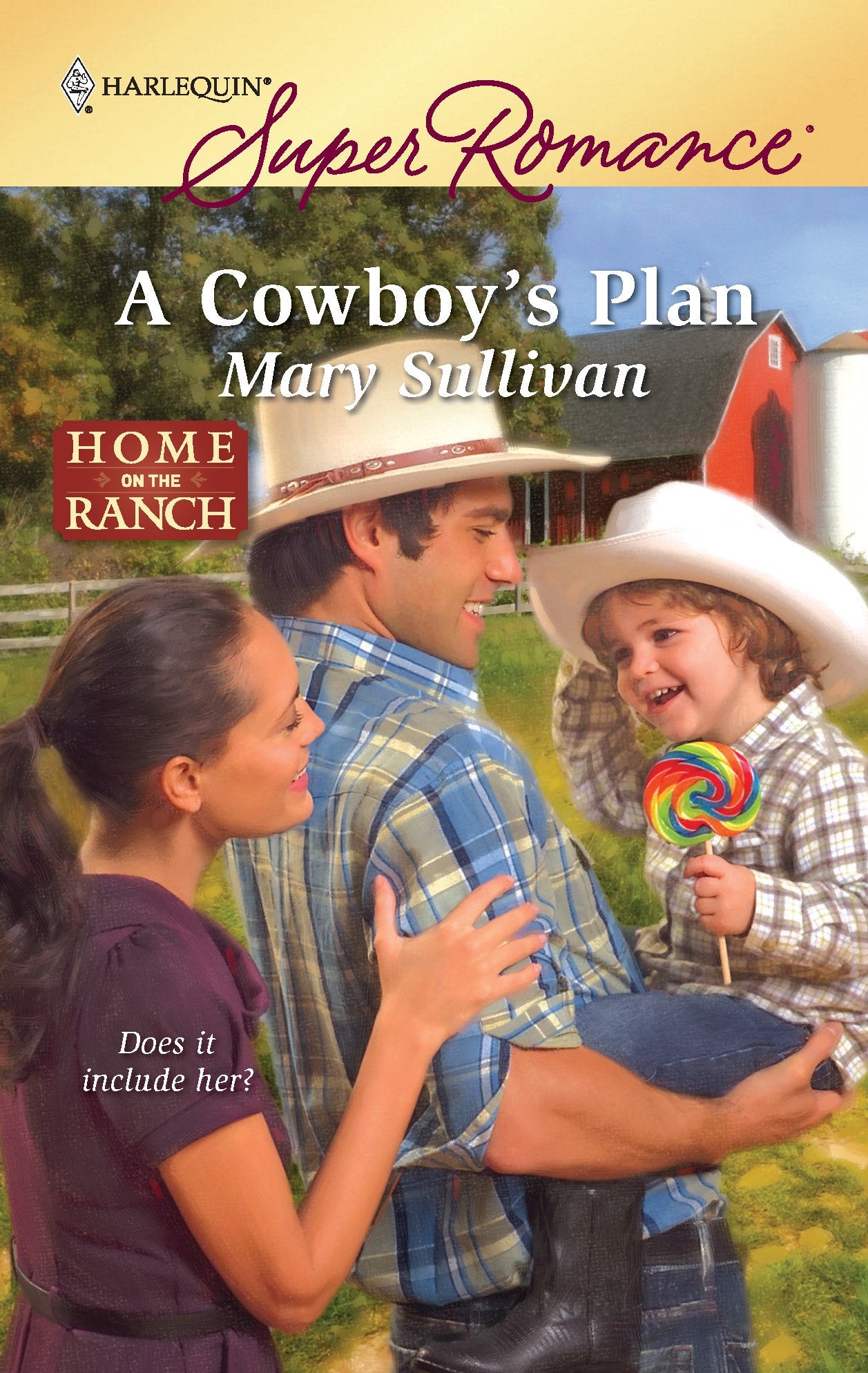 A Cowboy's Plan,Used