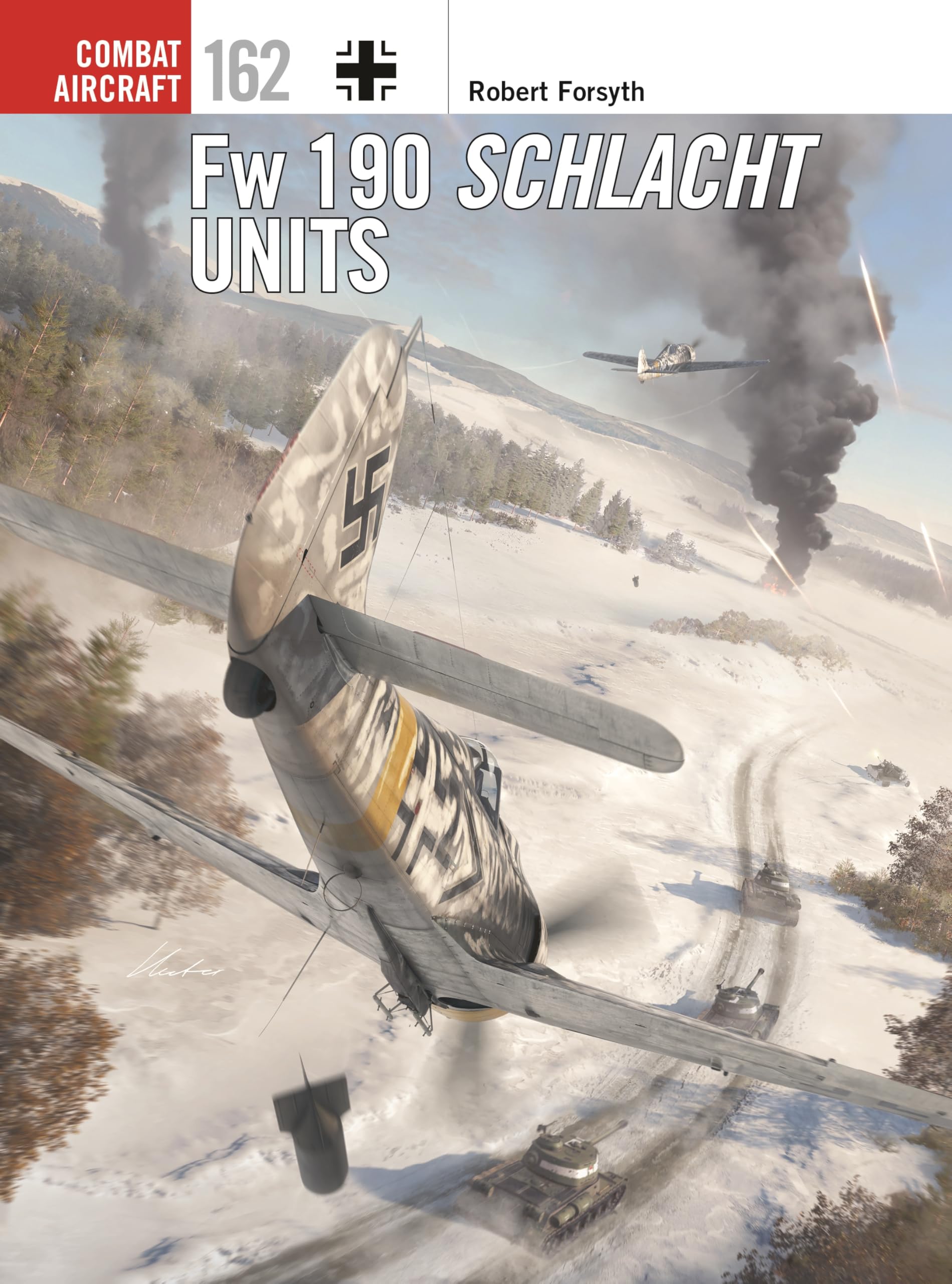 Fw 190 Schlacht Units (Combat Aircraft, 162)
