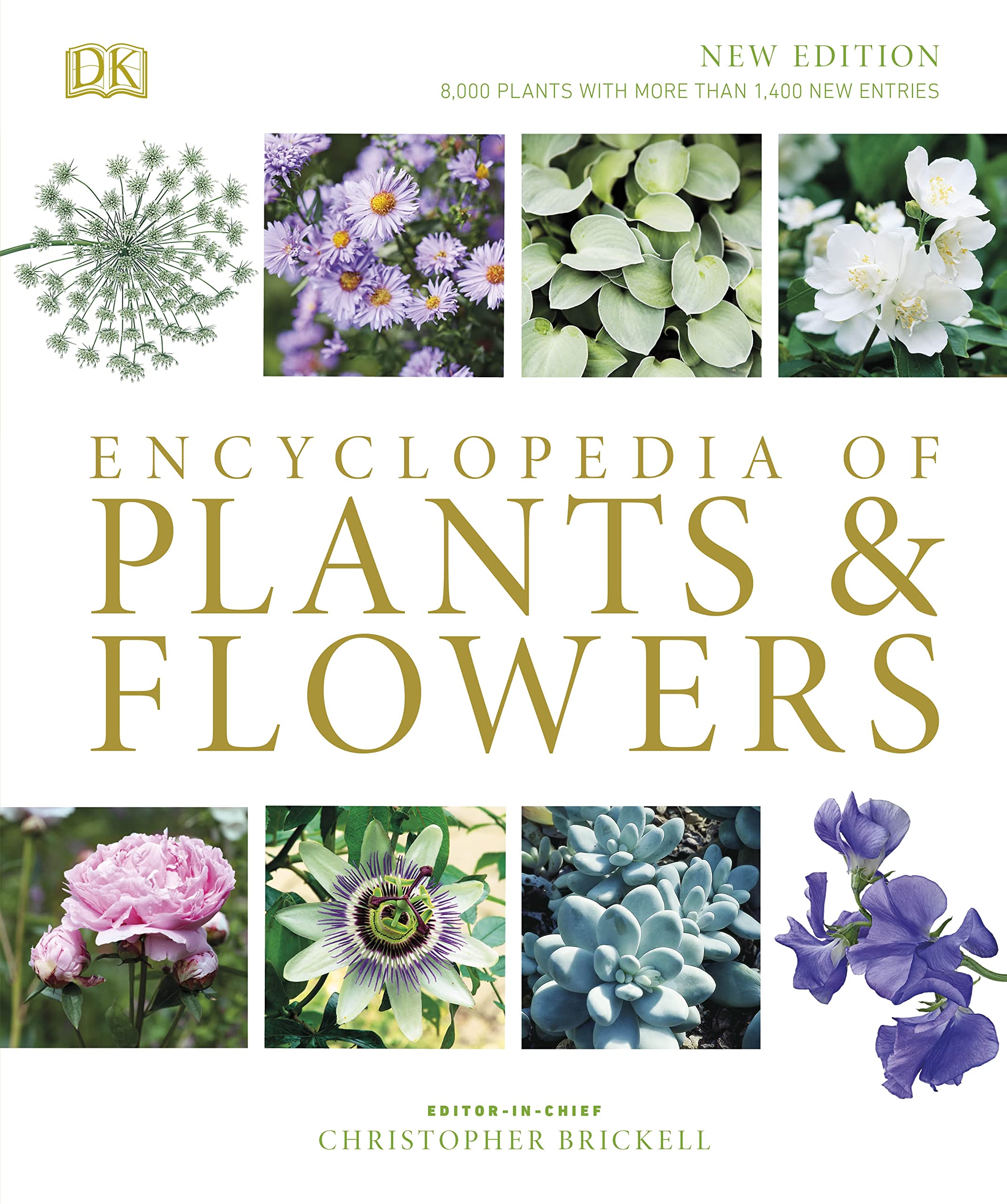 Encyclopedia of Plants and Flowers,Used