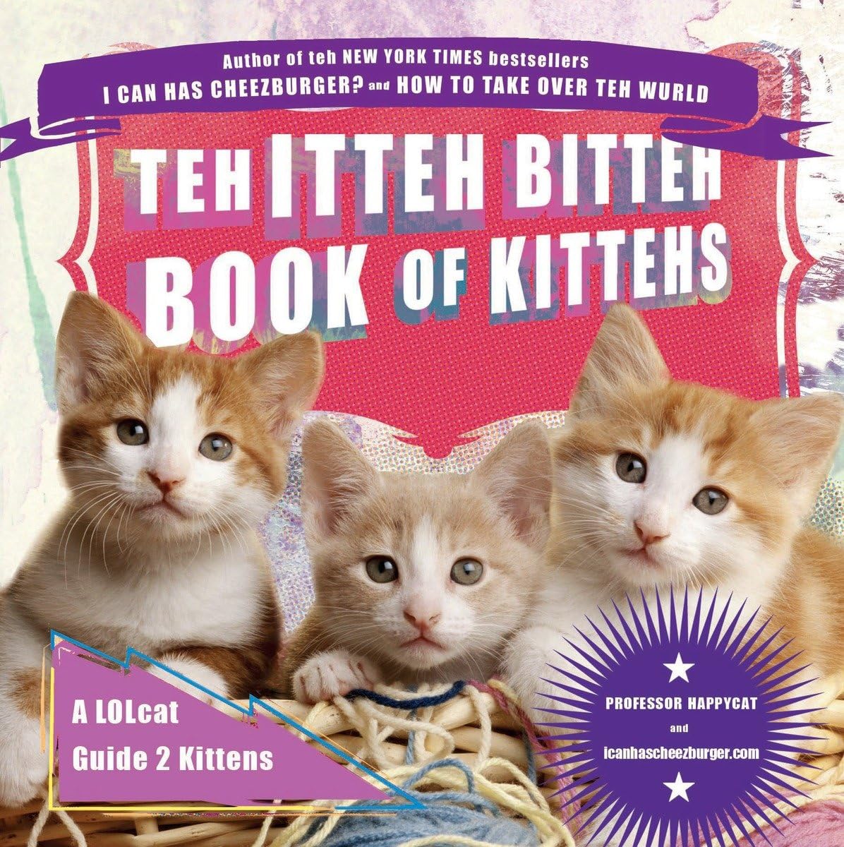 Teh Itteh Bitteh Book of Kittehs: A LOLcat Guide 2 Kittens,Used